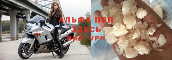 прущие грибы Арсеньев