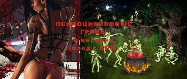 прущие грибы Арсеньев